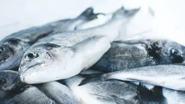 冰上新鮮的魚